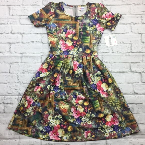 LuLaRoe Dresses & Skirts - LuLaRoe Vintage Amelia Dress Extra Small Frame